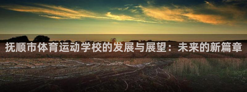 凯发官网下载平台注册流程视频:抚顺市体育运动学校的发展与展望